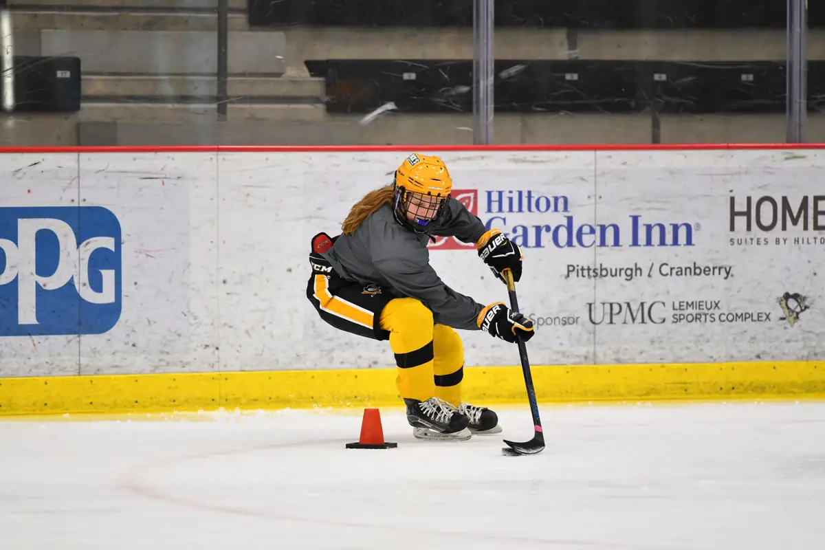 UPMC Lemieux Sports Complex photo 1
